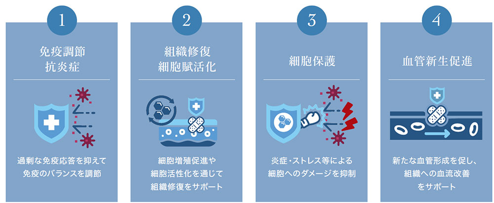幹細胞上清液の効果